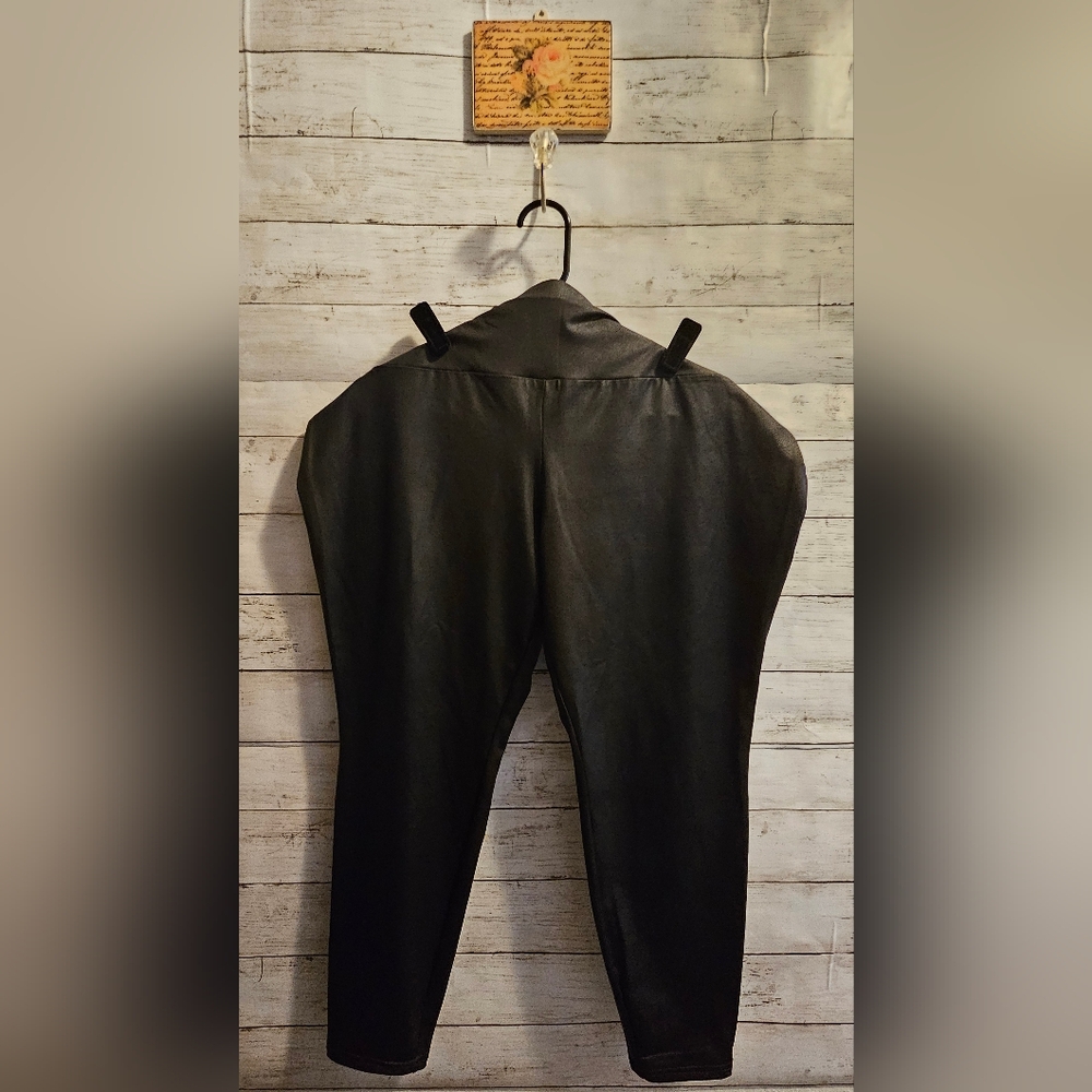 Terra & Sky Plus Faux Leather Pants/Leggings 1X